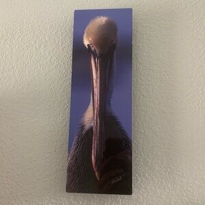 Pelican Photo by B. Shewchuk California 4 x 12